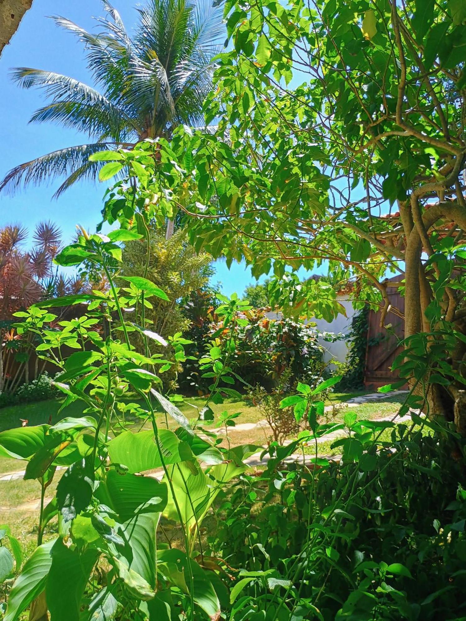 Namorada Brava Guest House Búzios Eksteriør billede